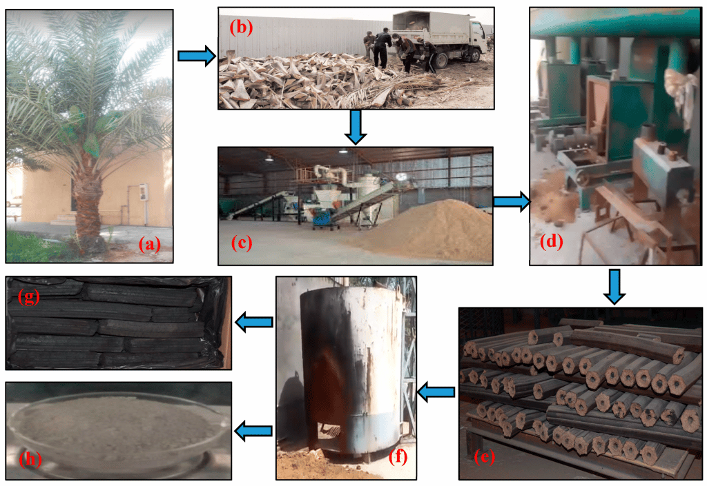چوب پلاست با نخل خرما