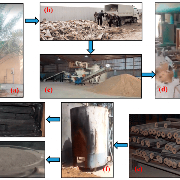 چوب پلاست با نخل خرما