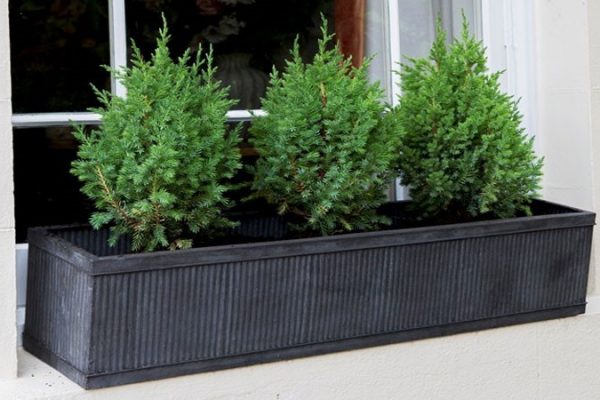 فلاورباکس تراس