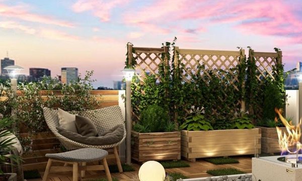 طراحی روف گاردن