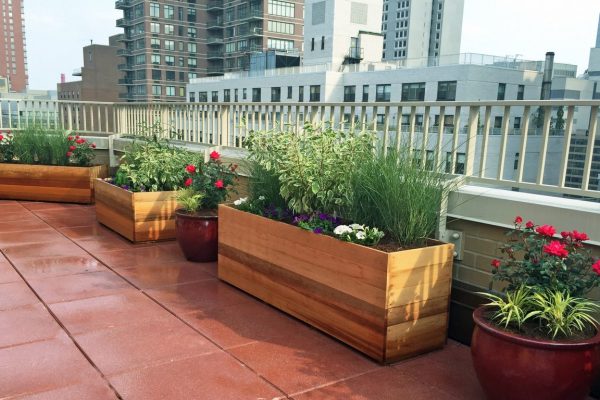 فلاورباکس تراس