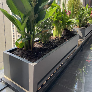 فلاورباکس تراس