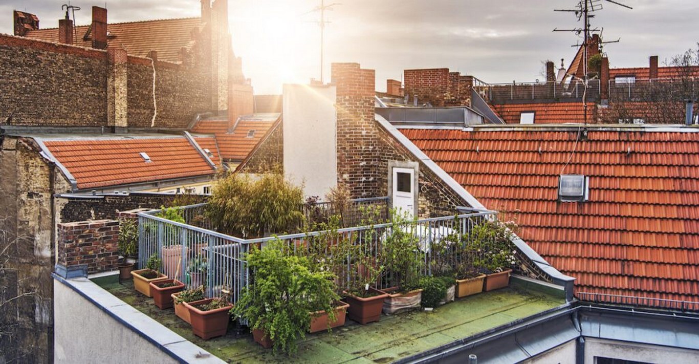 طراحی روف گاردن کوچک