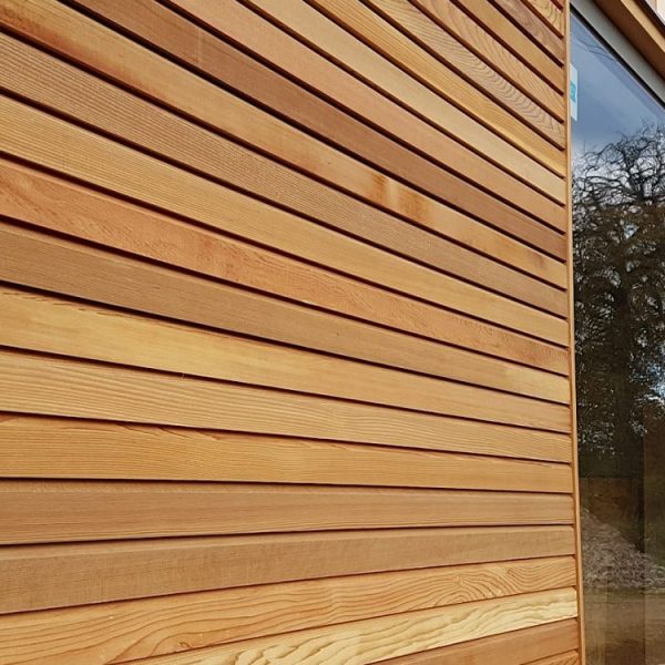 قیمت چوب ترمو